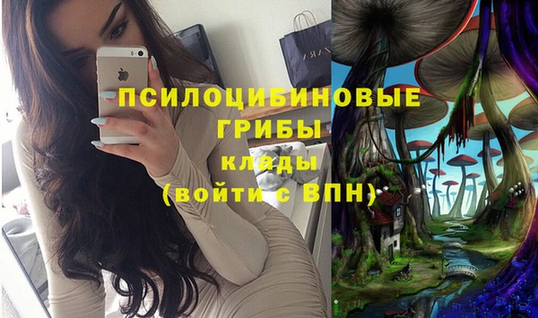 mdpv Алзамай
