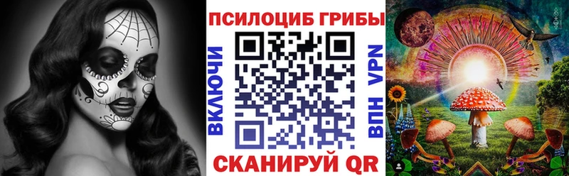 Псилоцибиновые грибы GOLDEN TEACHER  наркотики  Полысаево 