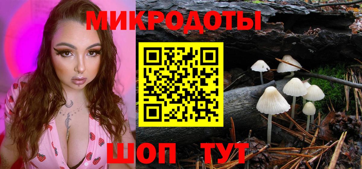 Псилоцибиновые грибы MAGIC MUSHROOMS  Вход с VPN  Полысаево 