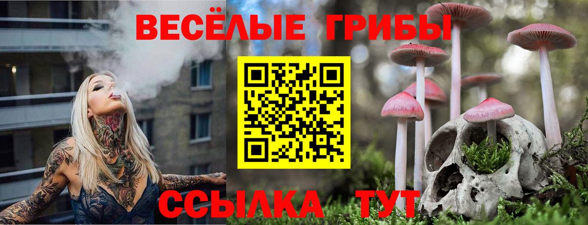 Галлюциногенные грибы прущие грибы Полысаево