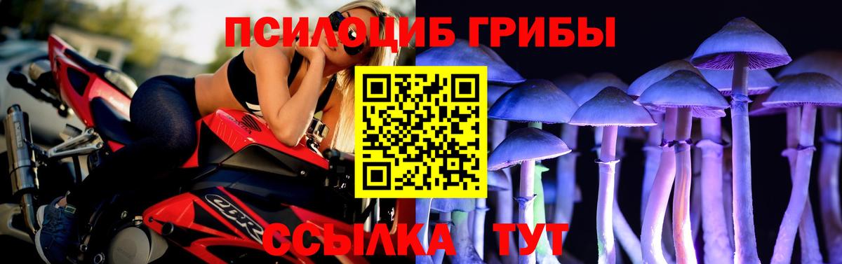 Псилоцибиновые грибы MAGIC MUSHROOMS Полысаево